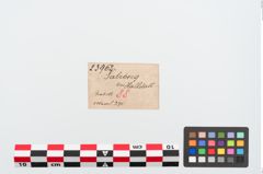 Etiketten zu Bronzerollenkopfnadel (NHMW-PRAE-023962)